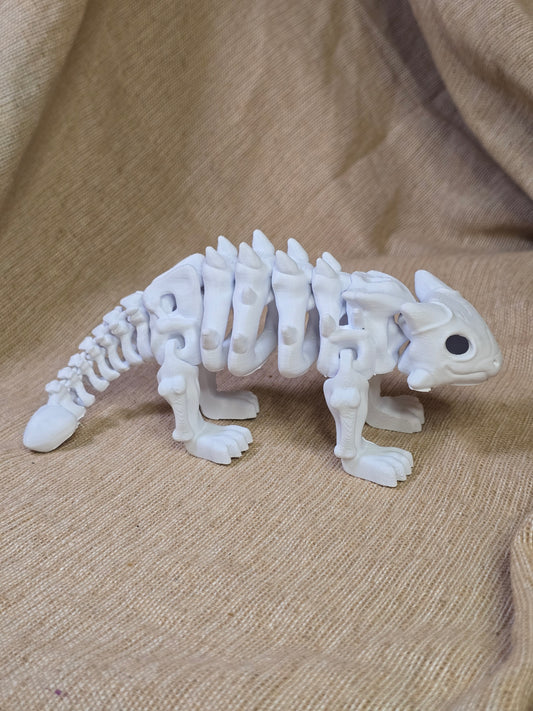 Awkylosauras skeleton